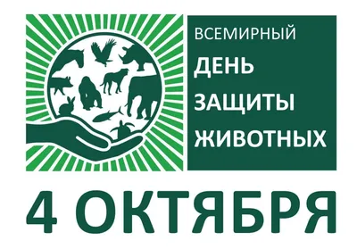 Всемирный день защиты животных - Новости - БелДрук