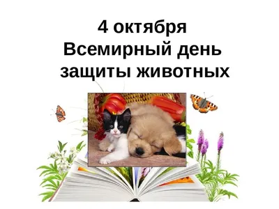 В Югре отмечают всемирный День защиты животных - Региональный  информационный центр