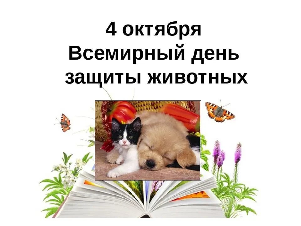 В Югре отмечают всемирный День защиты животных - Региональный информационный центр В Югре отмечают всемирный День защиты животных - Региональный информационный центр