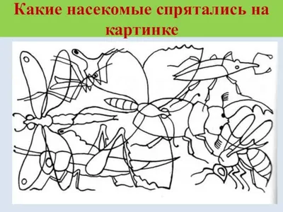 Альбом. Готовимся к школе с нейропсихологом - купить с доставкой по Москве  и РФ по низкой цене | Официальный сайт издательства Робинс