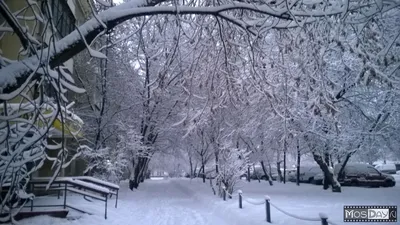 Заснеженная Москва с высоты птичьего полёта - Мослента