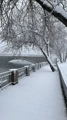 Агентство городских новостей «Москва» - Фотобанк