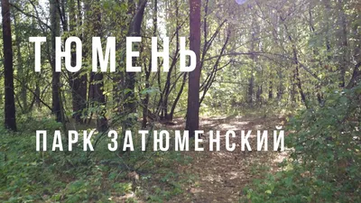 Экопарк Затюменский – ГородТ