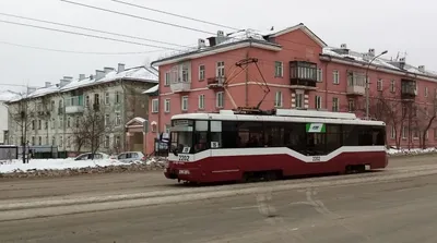 Фламинго, стадион, улица Зорге, 82/2, Новосибирск — 2ГИС