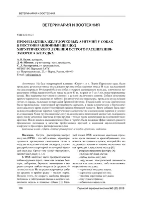 Гастротомия, энтеротомия и резекция кишечника с наложением анастомоза у  кошек и собак | Ветеринарная клиника доктора Шубина