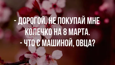 slaste_kg - Напоминаю что скоро наш любимый праздник, такой нежный и  весенний 8 марта . Сегодня 2 марта и 3 марта принимаю последние заказы к 8  марта 🥰🥰🥰 | Facebook