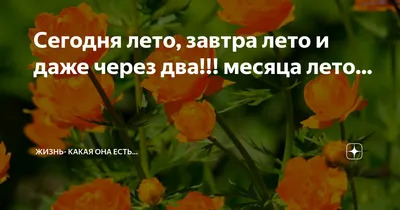 Хорошие новости с просторов) Завтро лето !УРА) | Пикабу