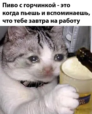 Выходные подходят к концу! 😭 Готовы к трудовым будням? Уже рветесь на  работу? 😀 Отличная новость — всего три.. | ВКонтакте