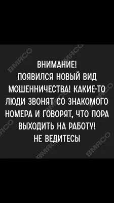 Понедельник выходной (65 фото) | Шутки про понедельник, Смешные открытки,  Выходной