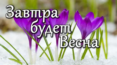 Завтра весна: красивые пожелания, открытки с последним днем зимы - Ура весна:  картинки с весной - В первый день весны стихи про весну красивые короткие