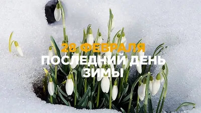 🌷🌷🌷 Завтра уже ВЕСНА... Весенний …» — создано в Шедевруме