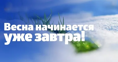 елена дрозд доброе утро последнего февральского утра на дорогах промерзших  весна｜Поиск в TikTok