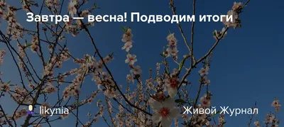 С последним днём весны!Завтра Лето! | Весна, Красивые цветы, Лето