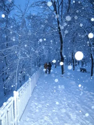 ❄️💙надеюсь завтра у меня уже …» — создано в Шедевруме