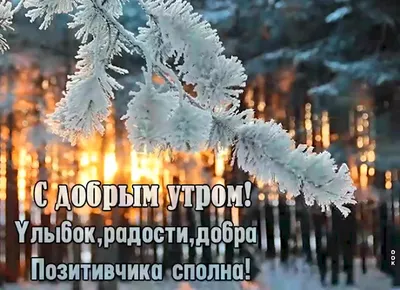 🎄Завтра зима🎄 / ❄Зима❄» — создано в Шедевруме