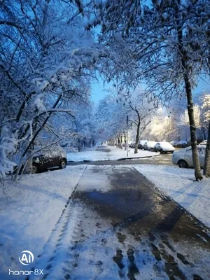 Уличный фотограф – Завтра зима