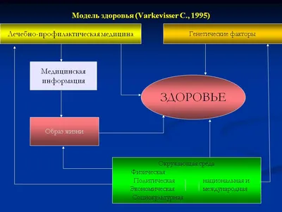 Витаминно-минеральный комплекс «Ритмы здоровья», 60 капсул (30 капсул в  каждой формуле) купить с доставкой по РФ в Интернет-магазине Siberian  Wellness: цена, отзывы