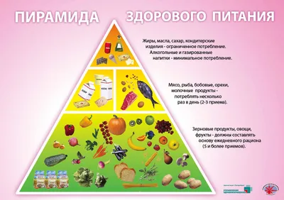 Хорошее и здоровое питание - лучшее лекарство - Медкор