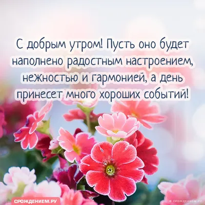 Новые картинки \"Доброе утро!\" (1371 шт.)