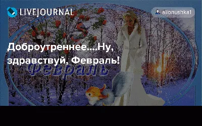 Картинки С Пожеланиями Здравствуй Февраль – Telegraph