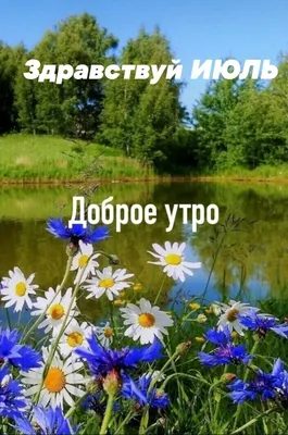 Людмила - Ну, здравствуй июль!😀 Доброе! #утро #когдапроснулсятогдаиутро  #ромашки #цветикицветочки #пестикитычинки #повестьодняхмоейжизни  #дневникмоейпамяти #моментыжизни | Facebook