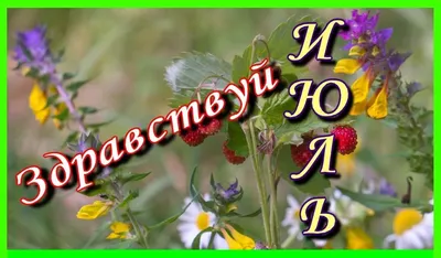 Наталья Оконешникова в Instagram: «Июль, до встречи! Здравствуй, август!  💛....И не хочется отпускать лето, и хоч… | Лето, Зеркальная фотография,  Живописные пейзажи