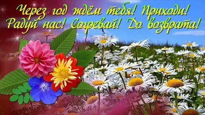 Николай - 🤗#доброеутро #жизнь #здравствуй #июль 💕💯💣🌺 | Facebook