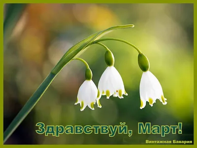 Афиша мероприятий для детей с 01 по 10 марта 2015 года. - Путеводитель по  детскому миру города