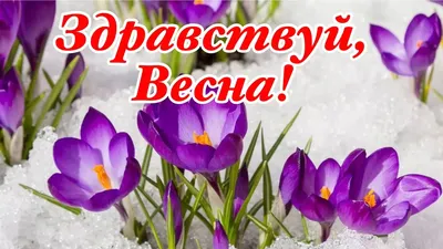 https://cbslytkarino.ru/%D0%BC%D0%B5%D1%80%D0%BE%D0%BF%D1%80%D0%B8%D1%8F%D1%82%D0%B8%D0%B5-%D0%B7%D0%B4%D1%80%D0%B0%D0%B2%D1%81%D1%82%D0%B2%D1%83%D0%B9-%D0%BC%D0%B0%D1%81%D0%BB%D0%B5%D0%BD%D0%B8%D1%86%D0%B0/