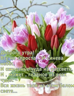 Здравствуй новый день: 2 тыс изображений найдено в Яндекс.Картинках |  Открытки, Пейзажи, Новогодние пожелания