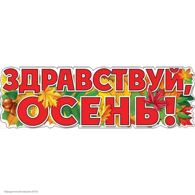 Здравствуй, осень! Здравствуй, школа! » Перекресток всех дорог -  информационно-аналитический еженедельник города Бологое