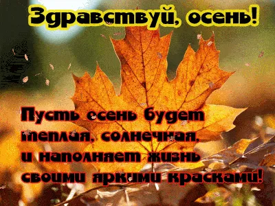 Набор для оформления \"Здравствуй, Осень!, на плёнке самоклеющейся глянцевой  купить по выгодной цене в интернет-магазине OZON (277797089)