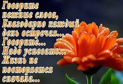 Доброе утро друзья дорогие ! Доброе утро подружки ! Здравствуйте все , я  вам говорю ! | ВКонтакте