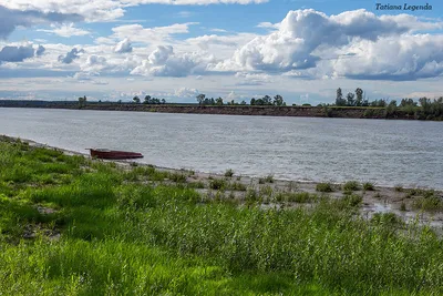 Коттеджный поселок \"Пушкинский лес\" в Омске: отзывы, фотографии, видео и  расположение на карте