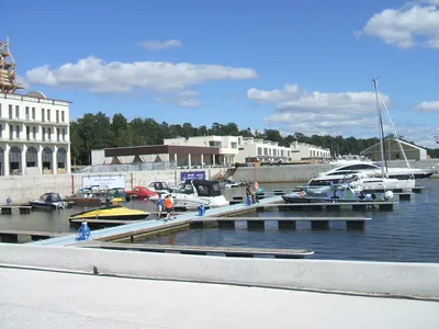 Зеленогорск (Санкт-Петербург) — Википедия