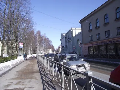 Курорт в Санкт-Петербурге: Зеленогорск, что посмотреть, где отдохнуть, как  добраться | Санкт-Петербург Центр