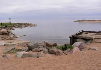 Санкт-Петербург. Мы поедем в Терийоки? Зеленогорск. Репинские \"Пенаты\",  Экотропа в Комарово — рассказ от 17.07.14