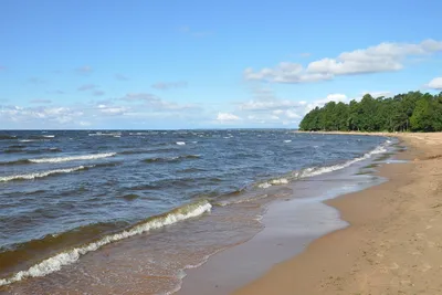 Город Зеленогорск где находится на карте, памятники, фото,  достопримечательности