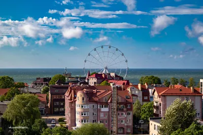 Зеленоградск - Европа, которую мы заслужили: чем этот город притягивает  туристов | Рита Тим ✧ Путешествия | Дзен