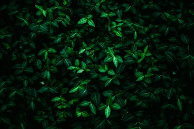 Green Yellow Designed Art Background HD Yellow Background Wallpapers | HD  Wallpapers | ID #84625