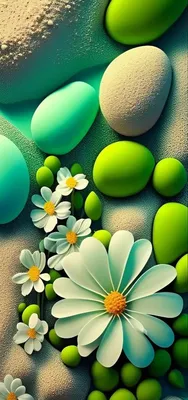 Green Background, Photos, and Wallpaper for Free Download