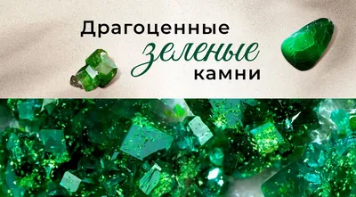 Зеленые обои с изящной решеткой decoracion #7174204, 400х280см - купить по  выгодной цене в интернет-магазине OZON (272981029)