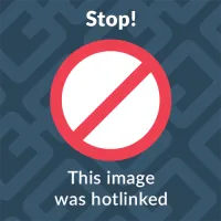 Серо зеленые обои в интерьере - 65 фото