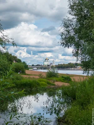 Зеленые платья в пол: красивые фотографии