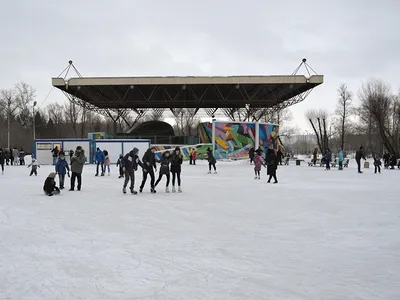 Почему сносят скейт-площадку на «Зеленом острове» в Омске - 14 апреля 2023  - НГС55