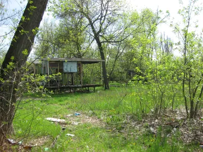 Зелёный остров. Река Дон. Нахичеванская протока. Ростов-на-Дону / Green  Island. Don River. Rostov-on-Don | Mapio.net