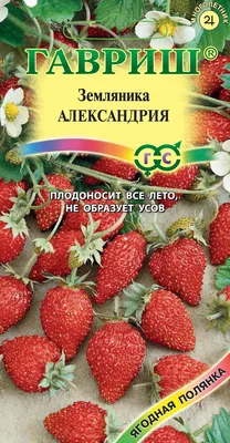 🍓 Купить землянику лесную в Красноярске: ягоды по цене за 1 кг от 850 руб  за свежие плоды — Дикоед