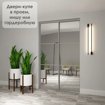 Дверь купе с зеркалом в гардеробную в Москве по низкой цене