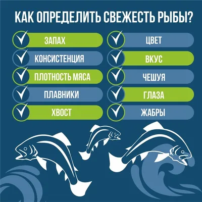 Надкласс рыбы, подготовка к ЕГЭ по биологии