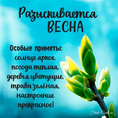 Ждем весну | Пикабу